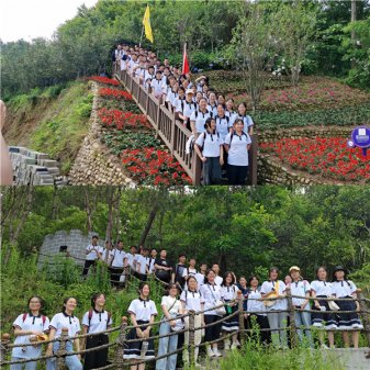 <b>研学旅行：悠悠红色情  浓浓花海香</b>